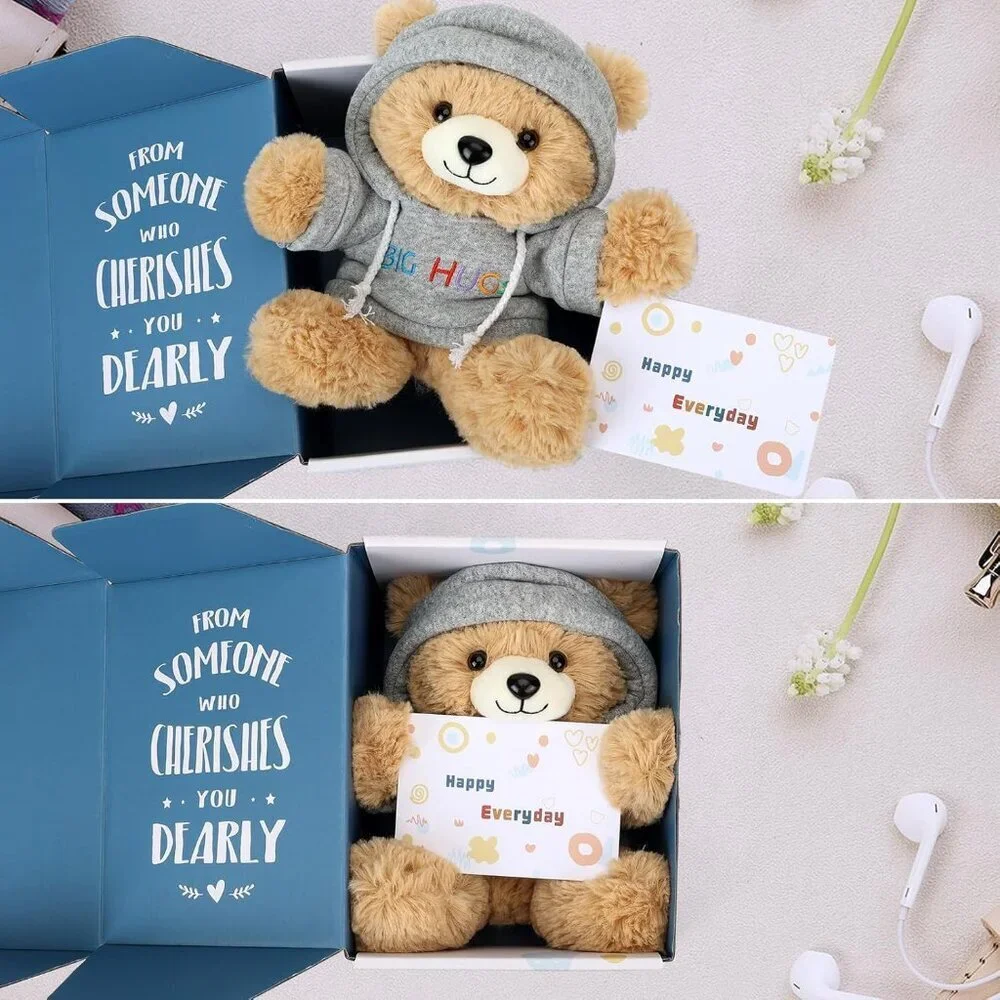 Big Hugs Teddy Bear Stuffed Animal with Gift Box Removable Hoodie Toy